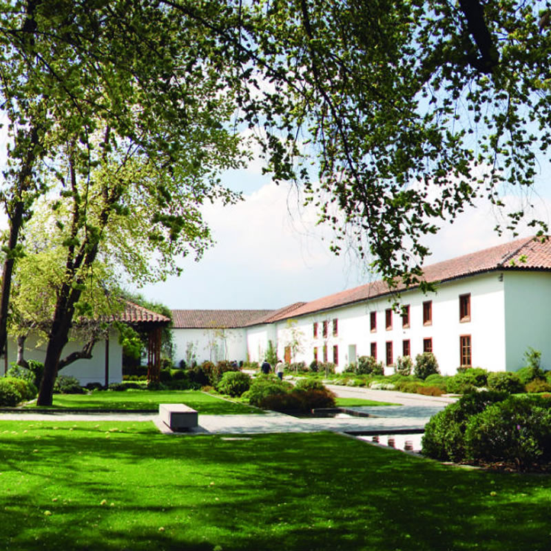 Viña Santa Carolina - Macul