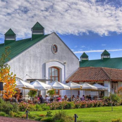 Viña Casas del Bosque -...