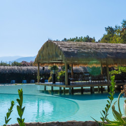 El Pregón - Curacaví