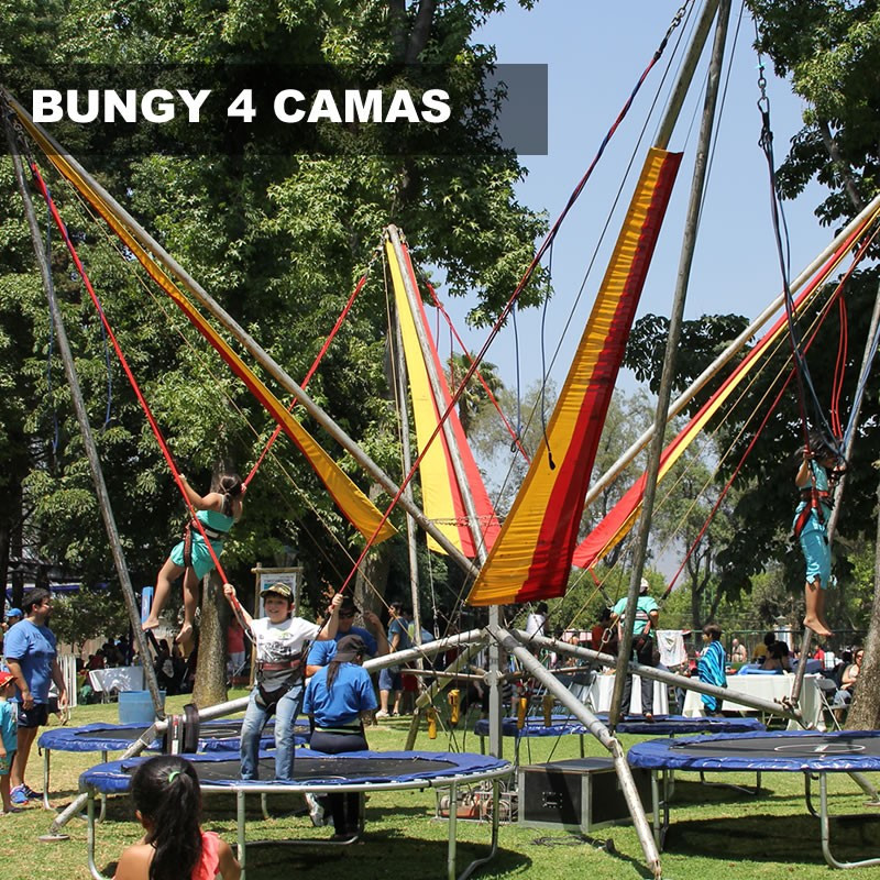 Bungy 4 camas