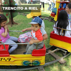 Trencito riel