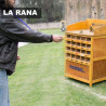 La Rana