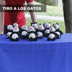 Tirar a los gatos.
