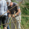 Bamboo work