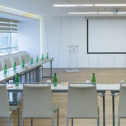 Hotel Plaza Santiago NH Collection - Providencia