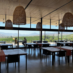 Kingston Family Vineyard - Casablanca