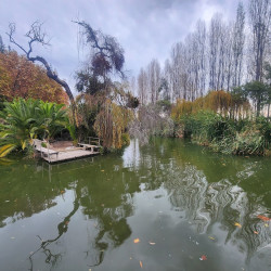 Casona Macul - Peñalolén