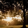 Club de Golf La Dehesa - Lo Barnechea