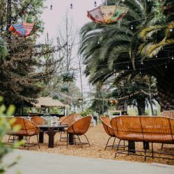 Torres de Paine - Paine