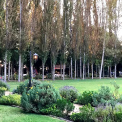 Torres de Paine - Paine