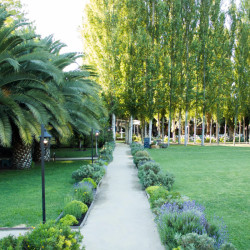Torres de Paine - Paine