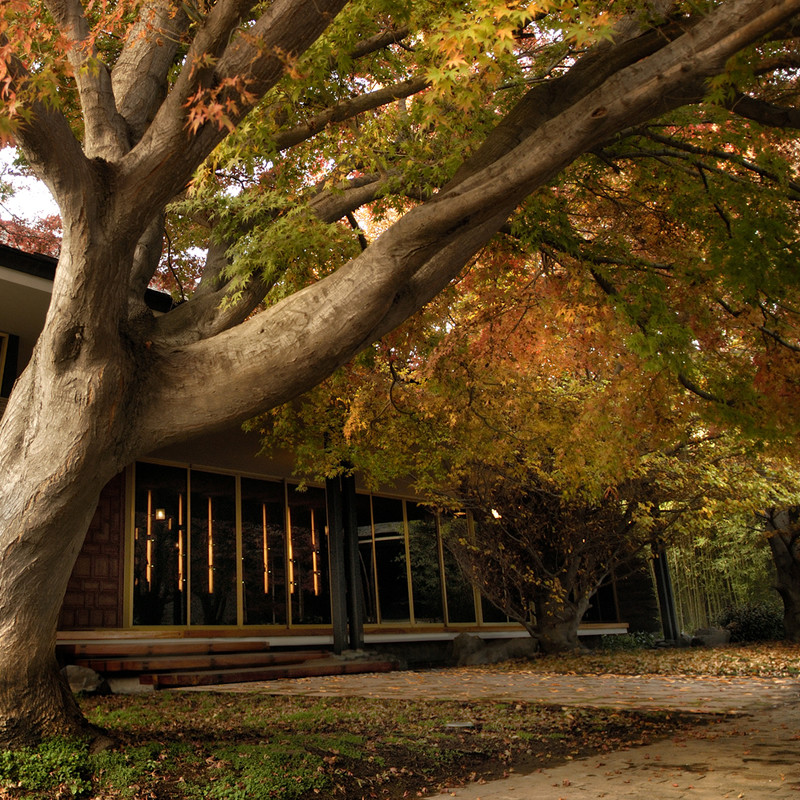 Museo de la Moda - Vitacura