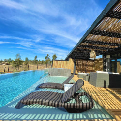 Simple y Puro - Calera de Tango