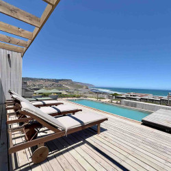 Simple y Puro - Calera de Tango