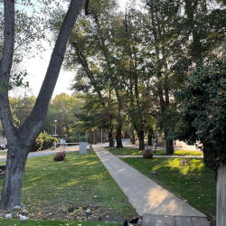 Viña Cousiño Macul - Peñalolén