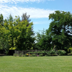 Espacio Viña Linderos - Buin