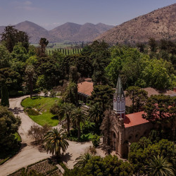 Viña Santa Rita - Buin