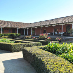 Viña Santa Rita - Buin