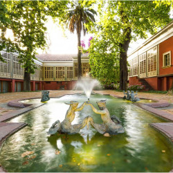 Viña Santa Rita - Buin