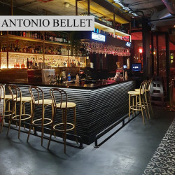 Lusitano - Providencia