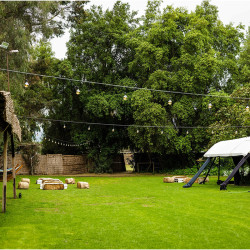 El Pregón - Curacaví