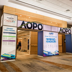 Modulos Cartón y Foame