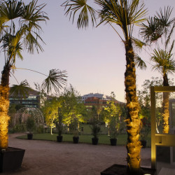 Bosque Luz - Huechuraba