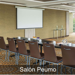 Hotel Renaissance - Vitacura