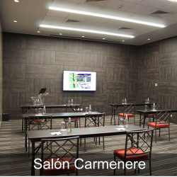 Hotel Hyatt Centric - Las Condes