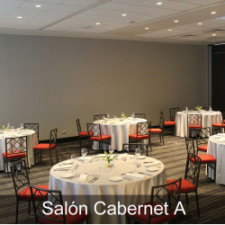 Hotel Hyatt Centric - Las Condes